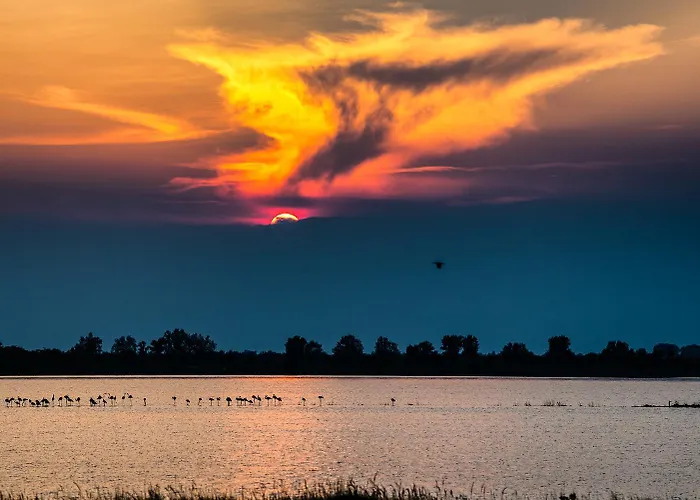 Romea Розолина-Маре